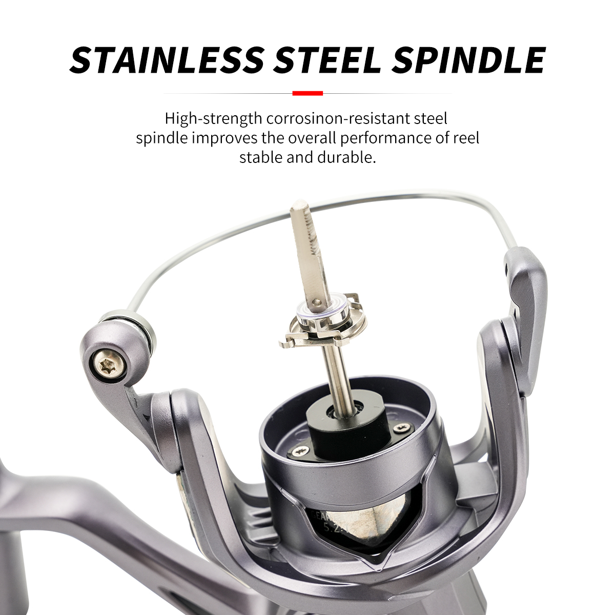 Johncoo Ravor Spinning Fishing - Daiwa Reel Bg review and price